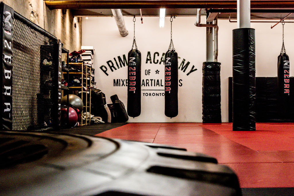 Featured Facility: Primal MMA